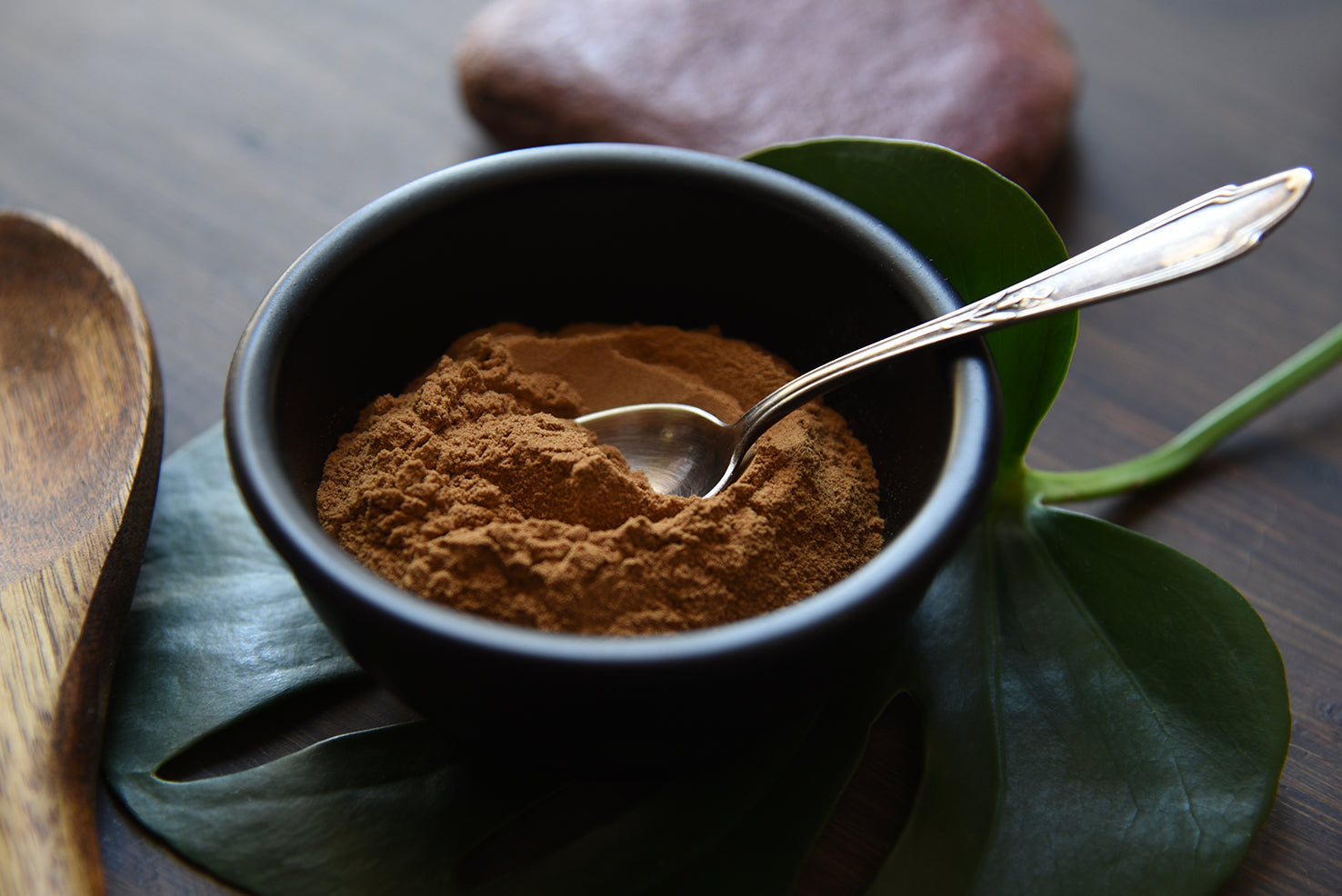 DAMIANA POWDER 100G